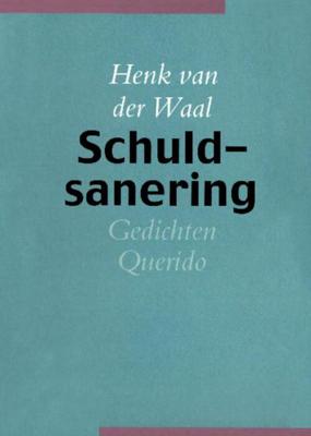 Schuldsanering - Henk van der Waal - ebook