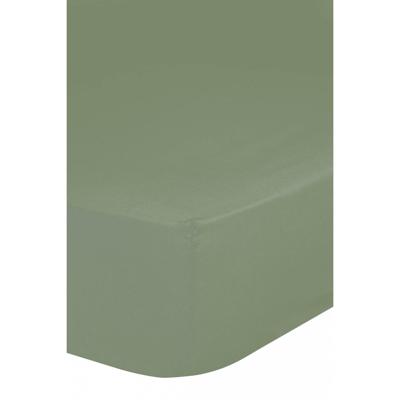 Good Morning Hoeslaken, Groen - (70x140/150 cm) - Katoen Jersey