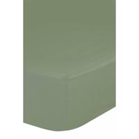 Good Morning Hoeslaken, Groen - (70x140/150 cm) - Katoen Jersey - thumbnail