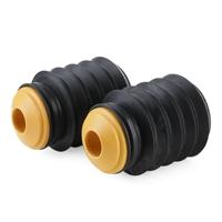 Eikenboom zuilvorm - thumbnail