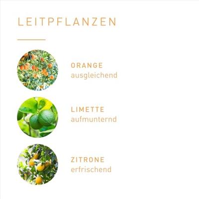 Primavera Aroma roll-on good mood 10 Milliliter