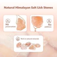 VidaXL Zoutlik stenen roze steenzout - thumbnail