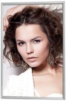 Zep fotolijst 120s01-9r silver plated 20x30 cm - thumbnail