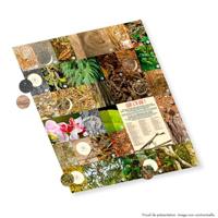 Stickeralbum Panini Animaux - thumbnail