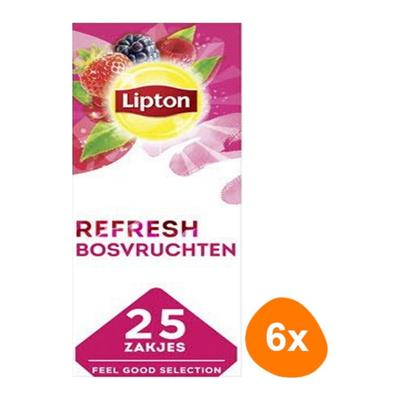 Lipton - Feel Good Selection Zwarte Thee Bosvruchten - 6x 25 zakjes
