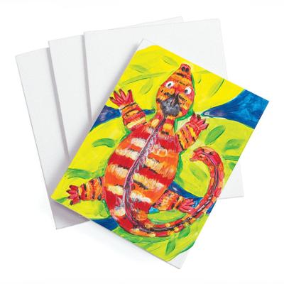 Colorations - canvas katoen 20,5 x 15cm, set van 12