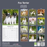 Fox Terrier Kalender 2026 - thumbnail