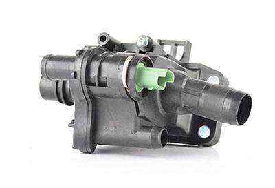 Thermostaathuis BSG30126008