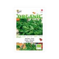 Biologische Peterselie Gigante d'Italia - thumbnail