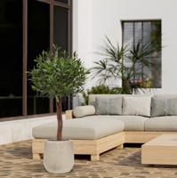 Olijf Kunstboom op stam 120cm UV in pot - thumbnail