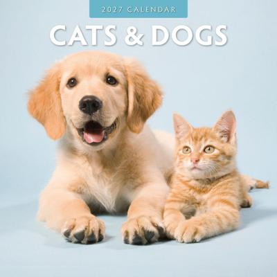 Cats and Dogs Kalender 2027 Cats and Dogs Kalender 2027