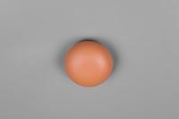 Trio Oranje wandlampDavey Ø 15cm - R24431140 - thumbnail