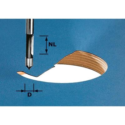 Festool Accessoires HW S8 D8/19 Boorfrees | 491037