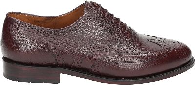 Van Bommel OLDA 03.12 BORDEAUX - alle Van Bommel OLDA 03.12 BORDEAUX - alle