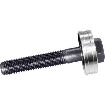 Rittal 4055631 Trekschroef met kogellager