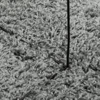 VidaXL Vloerkleed pamplona shaggy hoogpolig modern 200x280 cm groen - thumbnail