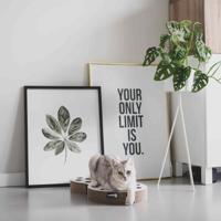 District 70 SNAKE - White - thumbnail