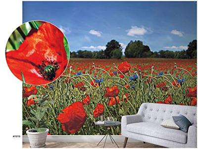 Noordwand Smart Art Easy Fotobehang klaprozen 47273