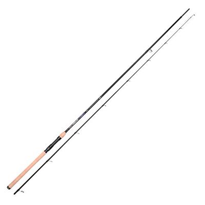 Gamakatsu Akilas Seatrout 100Mh