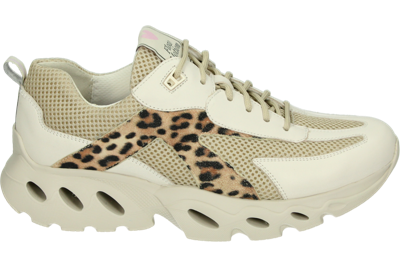 Durea 6309 H - alle Durea 6309 H - alle