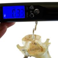 Berger & Schröter digital 50 kg 31928 Handweegschaal Digitaal - thumbnail