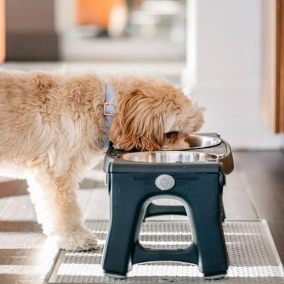 Adjustable Height Pet Feeder Steel