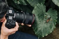 Canon RF 100mm F/2.8L Macro IS USM - thumbnail