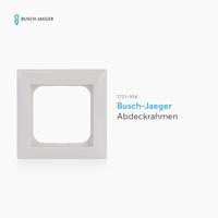 Busch-jaeger Afdekraam 1-voudig SI-B 1721 914 - thumbnail