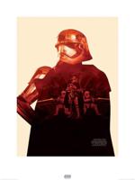 Kunstdruk Star Wars - Episode VII Captain Phasma Tri 60x80cm - thumbnail