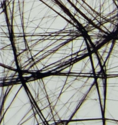 Vaessen Creative • sizoweb 5mx30cm in koker zwart