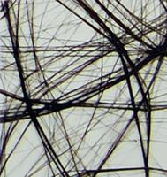 Vaessen Creative • sizoweb 5mx30cm in koker zwart - thumbnail