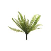 Nephrolepis Boston green 40 cm kunstplant Erutan Avon - Erutan avon - thumbnail