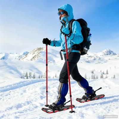VidaXL 3 in 1 sneeuwschoenen met wandelschoenen rood en zwart