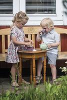 Dantoy theeservies, 16dlg. - thumbnail