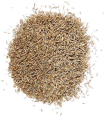 WOLF-Garten 3826650 Turbo-nassat LR-S 250 D/A 1 stuk(s)