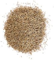 WOLF-Garten 3826650 Turbo-nassat LR-S 250 D/A 1 stuk(s) - thumbnail