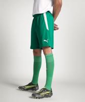PUMA teamLIGA Voetbalbroekje Groen Wit - thumbnail