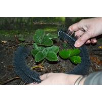 Slakkenborstel 100cm 4 stuks - thumbnail