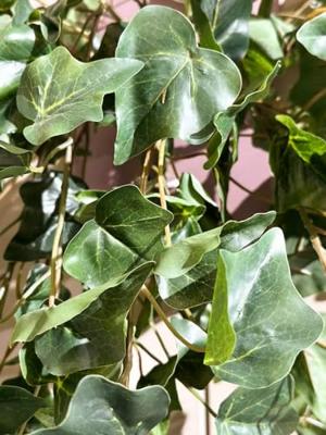 Emerald kunstplant klimop hangend groen 100 cm 11.958