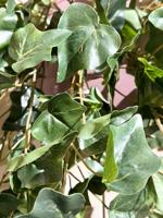 Emerald kunstplant klimop hangend groen 100 cm 11.958 - thumbnail