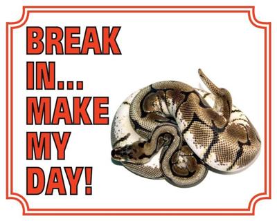 Konings Python Waakbord - Break in make my Day Konings Python Waakbord - Break in make my Day