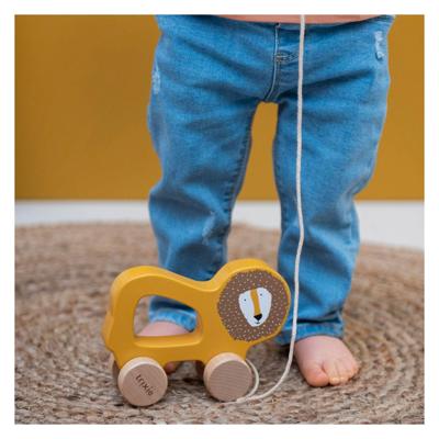 Trixie houten trekfiguur mr. lion