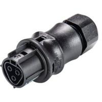 Wieland Electric 96.031.0053.1 Ronde connector Bus, recht Totaal aantal polen: 3 1 stuk(s) - thumbnail