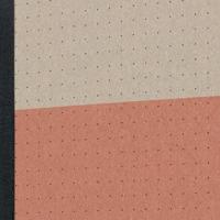 Sigel Quicknote SN300 Notitieboek Dotted (punten) Koraal Aantal paginas: 100 DIN A5 2 stuks - thumbnail