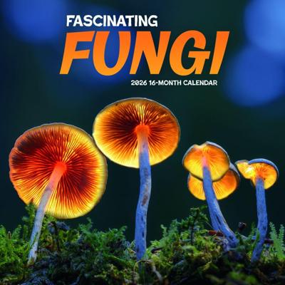 Bijzondere Paddenstoelen Kalender 2026