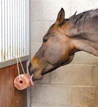 Excellent Horse Salt Lick Himalaya 2-3 kg (Met touw) - thumbnail