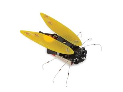 Whadda WSAK204 Cicade Bouwpakket 9 V