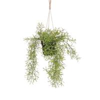 Kunstplant mica rhipsalis hangend in pot groen | 6 stuks - thumbnail