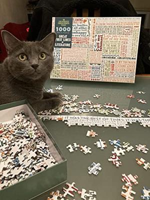 UPG-puzzel - Geweldige Eerste Regels van Literatuur