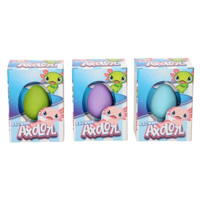 Ei met groeiende Axolotl 6cm